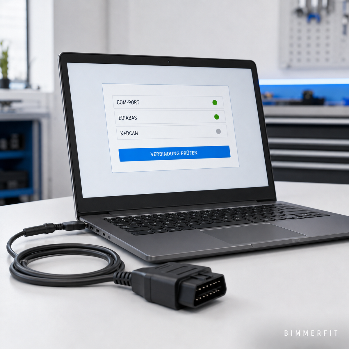 Windows-Laptop mit INPA-Diagnose, K+DCAN-Interface und markierter COM-Port-Prüfung